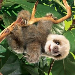 Folkmanis 2927 Handpuppe -Corolle Verkaufsgeschäft folkmanis 2927 handpuppe 2