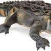 Folkmanis Amerikanischer Alligator -Corolle Verkaufsgeschäft folkmanis amerikanischer alligator